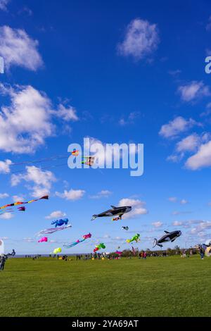 Norddeich, Ostfriesland, Deutschland. Drachenwiese in Norddeich an einem sonnigen Herbstnachmittag mit fliegenden Drachen. Oktober 2024 Stockfoto