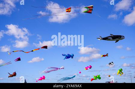 Norddeich, Ostfriesland, Deutschland. Drachenwiese in Norddeich an einem sonnigen Herbstnachmittag mit fliegenden Drachen. Oktober 2024 Stockfoto