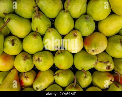 Willians Birnen in der oberen Ansicht, Bartlett Birnen in der Kiste des Gemüsehändlers angeordnet Stockfoto