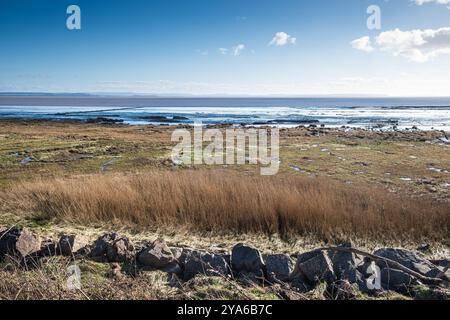 Die Gwent Levels Südwales mit Blick auf die englische Küste Stockfoto