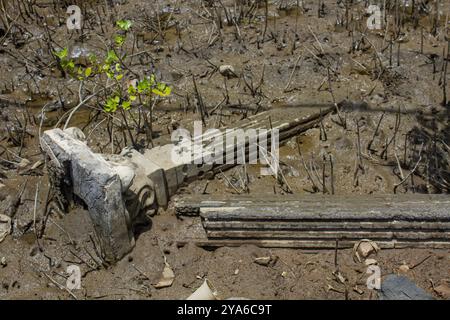 Subang, West-Java, Indonesien. Oktober 2024. Ein Blick auf das Haus im Dorf Mayangan wurde beschädigt, wo Teile des Gebiets aufgrund von Wellenabrieb und steigenden Meeresspiegeln in Mayangan Village, Subang, West Java, untergetaucht sind. Die Abschürfung an der Nordküste in West-Java ist besonders im Mayangan Village in Subang Regency, einem der am stärksten von Abschürfungen betroffenen Dörfer, stark ausgeprägt. Wird das Dorf nicht sofort verhindert, verschwindet es erodiert vom Meerwasser. Das Gebiet des Dorfes war früher etwa 300 Hektar Land mit 1000 Menschen hier, aber etwa 70 % der Reisfelder, Teiche und Stockfoto