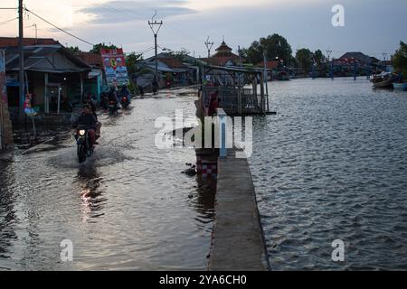 Subang, West-Java, Indonesien. Oktober 2024. Ein Mann fährt mit dem Motorrad, während Wasser die Dorfstraßen aufgrund des Meeresspiegelanstiegs und der Abschürfung in Mayangan Village, Subang, Indonesien, überschwemmt. Die Abschürfung an der Nordküste in West-Java ist besonders im Mayangan Village in Subang Regency, einem der am stärksten von Abschürfungen betroffenen Dörfer, stark ausgeprägt. Wird das Dorf nicht sofort verhindert, verschwindet es erodiert vom Meerwasser. Das Gebiet des Dorfes war früher etwa 300 Hektar Land mit 1000 Menschen hier, aber etwa 70 % der Reisfelder, Teiche und Siedlungen sind durch verloren gegangen Stockfoto