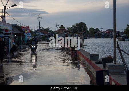 Subang, West-Java, Indonesien. Oktober 2024. Ein Mann fährt mit dem Motorrad, während Wasser die Dorfstraßen aufgrund des Meeresspiegelanstiegs und der Abschürfung in Mayangan Village, Subang, Indonesien, überschwemmt. Die Abschürfung an der Nordküste in West-Java ist besonders im Mayangan Village in Subang Regency, einem der am stärksten von Abschürfungen betroffenen Dörfer, stark ausgeprägt. Wird das Dorf nicht sofort verhindert, verschwindet es erodiert vom Meerwasser. Das Gebiet des Dorfes war früher etwa 300 Hektar Land mit 1000 Menschen hier, aber etwa 70 % der Reisfelder, Teiche und Siedlungen sind durch verloren gegangen Stockfoto