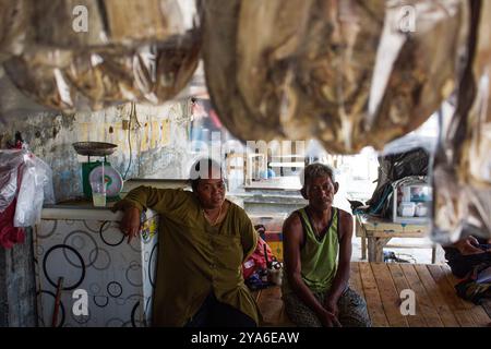 Subang, West-Java, Indonesien. Oktober 2024. YANTI und DURASID werden in der Mitte eines Dorfes gesehen, das vom steigenden Meeresspiegel betroffen ist, im Mayangan Village, Subang Regency, West Java. Die Abschürfung an der Nordküste in West-Java ist besonders im Mayangan Village in Subang Regency, einem der am stärksten von Abschürfungen betroffenen Dörfer, stark ausgeprägt. Wird das Dorf nicht sofort verhindert, verschwindet es erodiert vom Meerwasser. Das Gebiet des Dorfes war früher etwa 300 Hektar Land mit 1000 Menschen hier, aber etwa 70 % der Reisfelder, Teiche und Siedlungen sind durch risi verloren gegangen Stockfoto