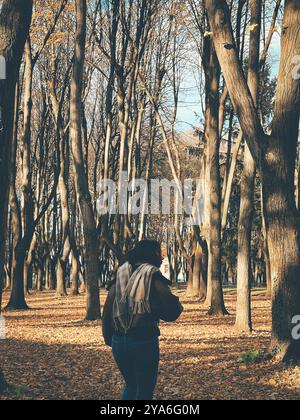 Eine junge Frau greift im Herbst freudig nach einem herabfallenden Blatt in einem ruhigen Wald in Monza, Italien. Der Boden ist mit goldenen Blättern bedeckt. Stockfoto