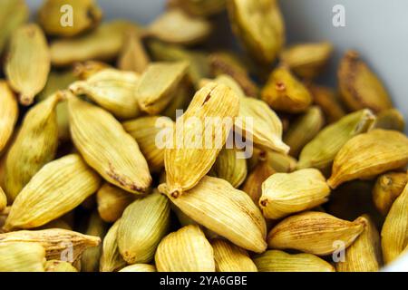 Getrocknete aromatische Kardamonschoten füllen die weiße Schüssel. Makroaufnahme. Grünes Kardamom-Gewürz Stockfoto