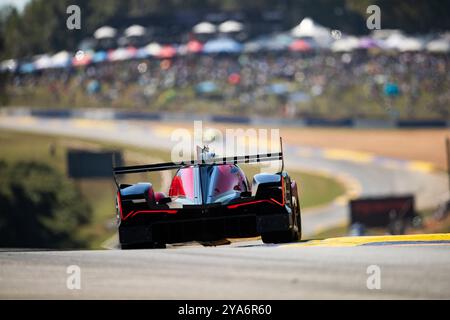 40 TAYLOR Jordan (usa), DELETRAZ Louis (che), HERTA Colton (usa), BUTTON Jenson (gbr), Wayne Taylor Racing mit Andretti, Acura ARX-06, Action während der Motul Petit Le Mans 2024, 11. Runde der IMSA Sportscar Championship 2024, vom 10. Bis 12. Oktober 2024 auf der Michelin Raceway Road Atlanta in Braselton, Georgia, Vereinigte Staaten von Amerika - Foto: DPPI Live News Stockfoto