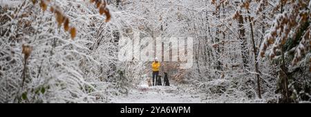 Weites Bild einer jungen Frau in warmgelbem Pullover, die in einem wunderschönen, schneebedeckten Winterwald steht. Mit ihren drei Hunden, die neben ihr sitzen. Stockfoto