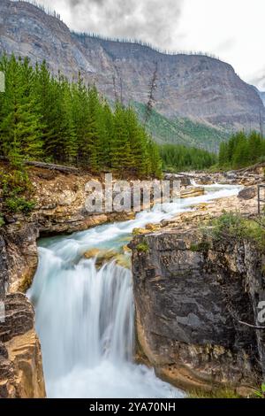 Langzeitbelichtungsbild des Marble Canyon Trail entlang des Tokumm Creek im Kootenay National Park Stockfoto