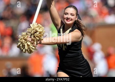 Winston-Salem, North Carolina, USA. Oktober 2024. Ein Cheerleader der Wake Forest Demon Deacons läuft mit der Flagge während des zweiten Viertels des Wake Forest Demon Deacons vs Clemson Tigers NCAA Fußballspiels im AlLegacy Stadium in Winston-Salem, NC am 12. Oktober 2024. (Kreditbild: © Cory Knowlton/ZUMA Press Wire) NUR REDAKTIONELLE VERWENDUNG! Nicht für kommerzielle ZWECKE! Stockfoto