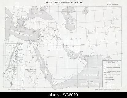 Heuschreckenkarte - Zentrum von Jerusalem. Gezeichnet, reproduziert und gedruckt von S. of P. veröffentlichte byd Dept. Of Agriculture and Fisheries, Palestine, 1942 Stockfoto