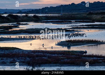 Sonnenuntergang über der Lagune vom Vogelhäuschen der RSPB auf Two Tree Island. Stockfoto