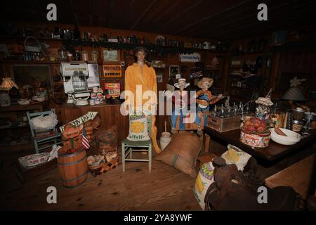 Landrum's Homestead and Village, lebendiges Geschichtsmuseum. Stockfoto