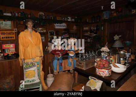 Landrum's Homestead and Village, lebendiges Geschichtsmuseum. Stockfoto