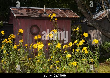 Landrum's Homestead and Village, lebendiges Geschichtsmuseum. Stockfoto