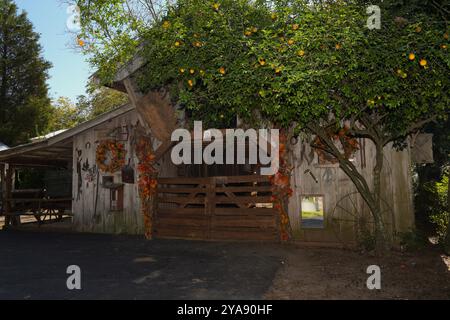 Landrum's Homestead and Village, lebendiges Geschichtsmuseum. Stockfoto