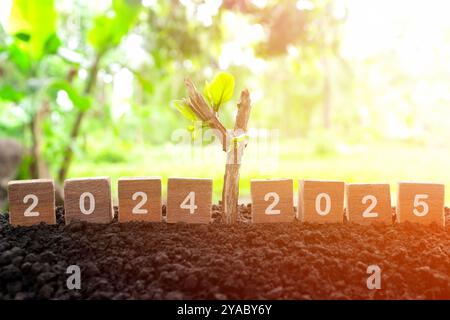 Wechseljahr 2024 bis 2025 in Holzblöcken mit wachsender Pflanze bei Sonnenaufgang. Willkommen zum neuen Jahr 2025 und auf Wiedersehen 2024. Stockfoto