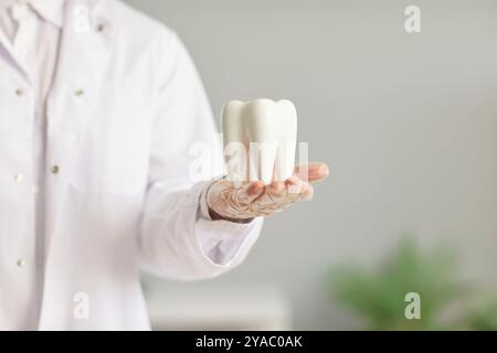Nahaufnahme einer Arztzahnarzthand, die gesunden weißen Spielzeugzahn in der Hand hält, die in der Zahnklinik steht Stockfoto