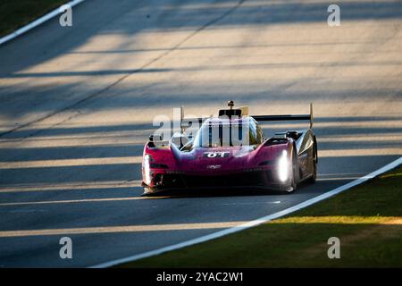 10 TAYLOR Ricky (usa), ALBUQUERQUE Filipe (PRT), HARTLEY Brendon (nzl), ERICSSON Marcus (swe), Wayne Taylor Racing mit Andretti, Acura ARX-06, Aktion während der Motul Petit Le Mans 2024, 11. Runde der IMSA Sportscar Championship 2024, vom 10. Bis 12. Oktober 2024 auf der Michelin Raceway Road Atlanta in Braselton, Georgia, Georgia, USA, Foto: JoPPI, usa Stockfoto