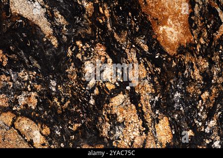 Ideal Black Sedna - Granithintergrund, Textur in strengen Farben als Teil Ihrer Designarbeit. Stockfoto