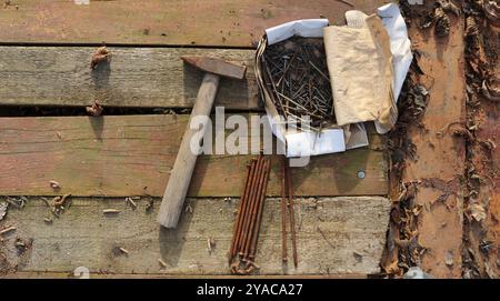 Alter Hammer und Papierkasten mit rostigen Nägeln, die auf strukturierten, abgenutzten Holzbrettern liegen und mit verwelkten Blättern bestreut sind, verlassener Arbeitsplatz Stockfoto