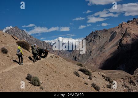 Blick auf Minglik SAR auf dem Shimshal Pass Trek, Shimshal, Gojal, Pakistan Stockfoto