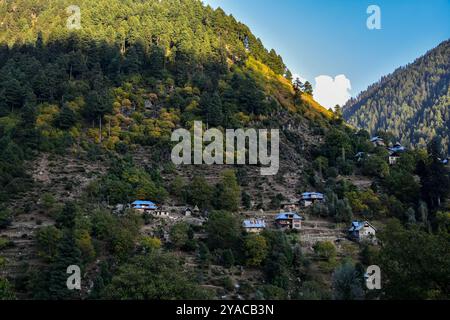 Kaschmir, Indien. Oktober 2024. Wohnhäuser sind umgeben von bunten Bäumen während der Herbstsaison am Stadtrand von Srinagar, der Sommerhauptstadt von Jammu und Kaschmir. Der Herbst, auch bekannt als Harud, ist eine Saison der Ernte in Kaschmir mit Bäumen, die ihre Farbe ändern, während die Tageslichtstunden mit dem Winter kürzer werden. Quelle: SOPA Images Limited/Alamy Live News Stockfoto