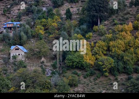 Kaschmir, Indien. Oktober 2024. Wohnhäuser sind umgeben von bunten Bäumen während der Herbstsaison am Stadtrand von Srinagar, der Sommerhauptstadt von Jammu und Kaschmir. Der Herbst, auch bekannt als Harud, ist eine Saison der Ernte in Kaschmir mit Bäumen, die ihre Farbe ändern, während die Tageslichtstunden mit dem Winter kürzer werden. Quelle: SOPA Images Limited/Alamy Live News Stockfoto