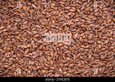 Draufsicht eines Stapels von Schreibtischbuchstaben Stockfoto