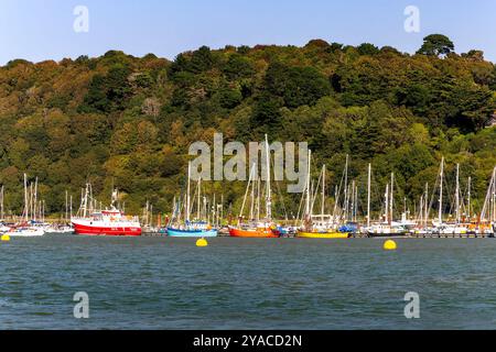 Farbenfroher Blick auf vertäute Fischerboote auf der Kingswear Marina mit herbstlich gefärbten Bäumen, River Dart. Stockfoto