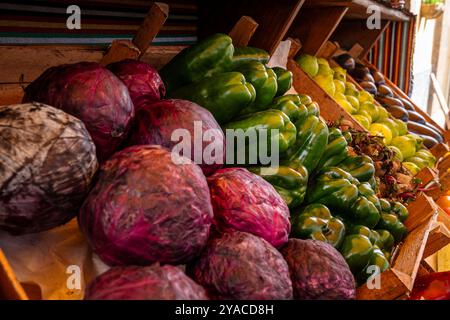 Eine farbenfrohe Ausstellung von Gemüse und Obst, einschließlich Tomaten, Paprika und Kürbis. Stockfoto