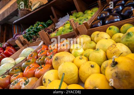 Eine Vielzahl von Obst und Gemüse wird in Holzkisten ausgestellt. Zu den Produkten gehören Tomaten, Orangen, Zitronen und Paprika. Stockfoto