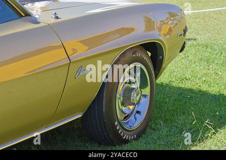 Chevrolet camaro z28 reflektiert den blauen Himmel auf seiner polierten Seite, parkt auf einem Grasfeld Stockfoto