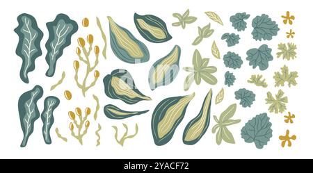 Buntes Sortiment an stilisierten Blättern und Pflanzen in verschiedenen Formen und Größen. Vektor Hand gezeichnete Sammlung Illustration isoliert auf weißem Hintergrund. Stock Vektor