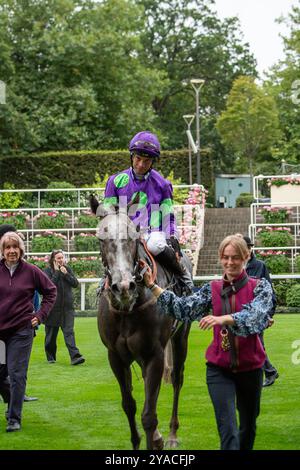 Ascot, Großbritannien. September 2024. THEORYOFEVERYTHING, geritten von Jockey Sean Levey, gewinnt die National Racehorse Week Handicap Stakes (Klasse 2) beim Big Food and Festival Weekend, unterstützt von Chapel Down auf der Ascot Racecourse in Berkshire. Besitzer Gallop Racing, Trainer David O'Meara. Kredit: Maureen McLean/Alamy Stockfoto