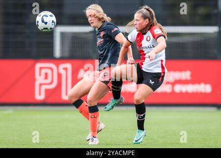 Rotterdam, Niederlande. Oktober 2024. ROTTERDAM, 13-10-2024, Varkenoord, Azerion Eredivisie vrouwen, Feyenoord - Utrecht(Frauen), Saison 2024/2025, während des Spiels Feyenoord - Utrecht (Frauen), FC Utrecht Spieler Amber Visscher, Feyenoord Spieler Romee van de Lavoir Credit: Pro Shots/Alamy Live News Stockfoto