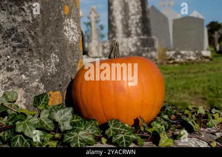 Großer Kürbis auf dem Boden unter der alten Steinmauer auf dem Friedhof mit Gräbern im Hintergrund, Kürbistag, halloween Stockfoto