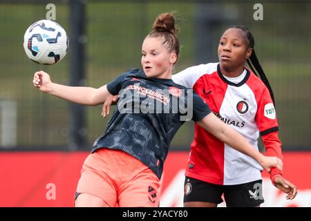 Rotterdam, Niederlande. Oktober 2024. ROTTERDAM, 13-10-2024, Varkenoord, Azerion Eredivisie vrouwen, Feyenoord - Utrecht(Frauen), Saison 2024/2025, während des Spiels Feyenoord - Utrecht(Frauen), FC Utrecht Spieler Nikita Tromp, Feyenoord Spieler Celainy Obispo Credit: Pro Shots/Alamy Live News Stockfoto