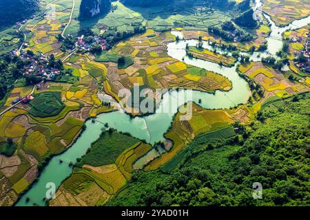 Aus der Vogelperspektive auf den sich windenden türkisfarbenen Fluss inmitten des Reisfeldes im Phong Nam Valley, Cao Bang, Vietnam Stockfoto