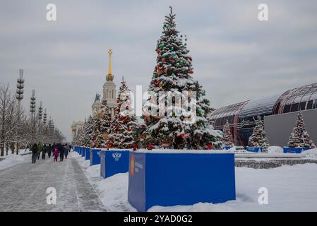 MOSKAU, RUSSLAND - 06. JANUAR 2024: Neujahrsbäume auf dem Territorium der VDNH. Moskau Stockfoto