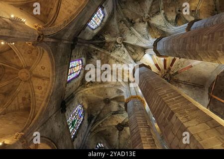 Blick von innen auf das Juwel der katalanischen gotischen Architektur, die Basilika de Santa Maria del Mar, Barcelona, Spanien Stockfoto