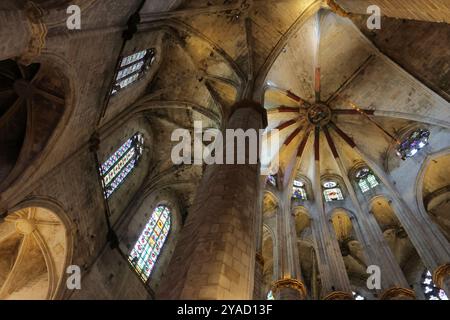 Blick von innen auf das Juwel der katalanischen gotischen Architektur, die Basilika de Santa Maria del Mar, Barcelona, Spanien Stockfoto