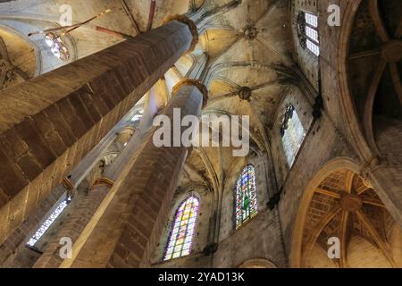 Blick von innen auf das Juwel der katalanischen gotischen Architektur, die Basilika de Santa Maria del Mar, Barcelona, Spanien Stockfoto