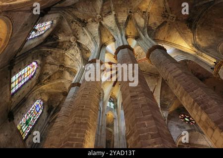 Blick von innen auf das Juwel der katalanischen gotischen Architektur, die Basilika de Santa Maria del Mar, Barcelona, Spanien Stockfoto