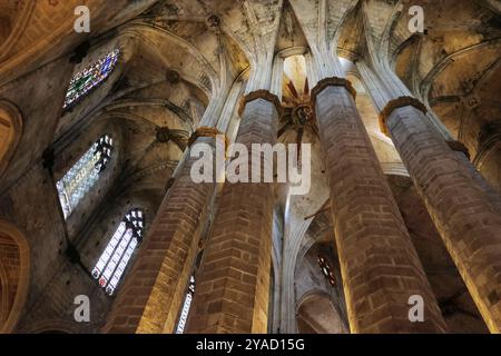 Blick von innen auf das Juwel der katalanischen gotischen Architektur, die Basilika de Santa Maria del Mar, Barcelona, Spanien Stockfoto