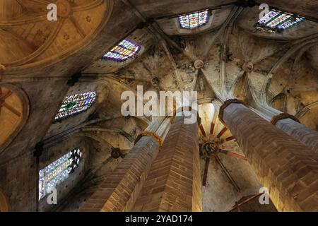 Blick von innen auf das Juwel der katalanischen gotischen Architektur, die Basilika de Santa Maria del Mar, Barcelona, Spanien Stockfoto