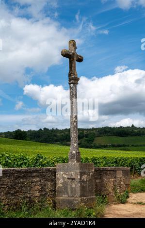 Grüne Grand Cru- und Premier Cru-Weinberge mit Kreuz und Reihen von Pinot Noir-Traubenpflanzen in Cote de nuits, die aus dem berühmten rot-weißen Burgund wi hergestellt werden Stockfoto