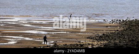 Frau, die zwei Hunde und ein Mann entlang der Küste auf Barry Island, Südwales, Großbritannien. Vom Oktober 2024. Stockfoto