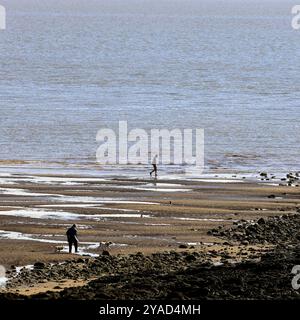 Frau, die zwei Hunde und ein Mann entlang der Küste auf Barry Island, Südwales, Großbritannien. Vom Oktober 2024. Stockfoto