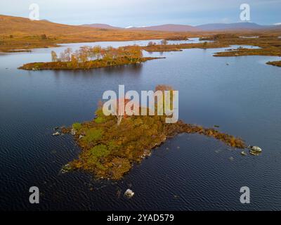 Glen Coe, Schottland, Großbritannien. Oktober 2024. Aus der Vogelperspektive von der Drohne auf Loch Ba im Rannoch Moor mit Bäumen, die Herbstfarben zeigen. Iain Masterton/Alamy Live News Stockfoto